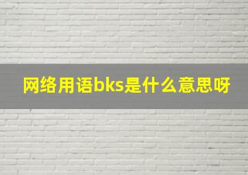 网络用语bks是什么意思呀