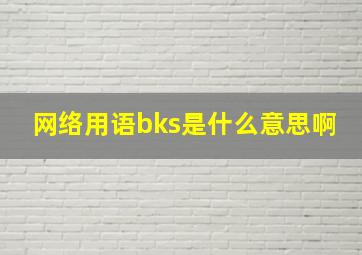 网络用语bks是什么意思啊