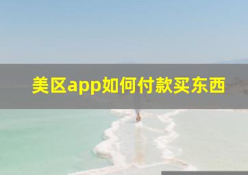 美区app如何付款买东西