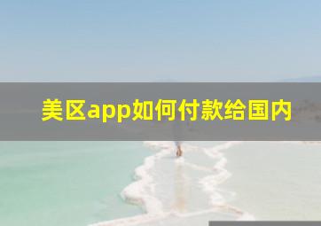 美区app如何付款给国内