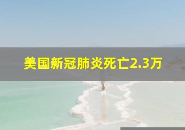 美国新冠肺炎死亡2.3万