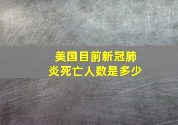 美国目前新冠肺炎死亡人数是多少