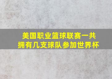 美国职业篮球联赛一共拥有几支球队参加世界杯