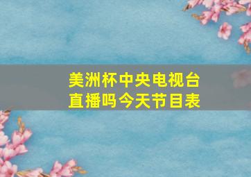 美洲杯中央电视台直播吗今天节目表