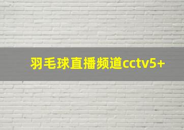 羽毛球直播频道cctv5+