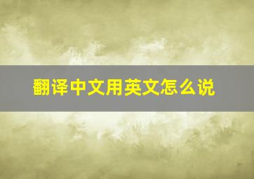 翻译中文用英文怎么说