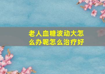 老人血糖波动大怎么办呢怎么治疗好