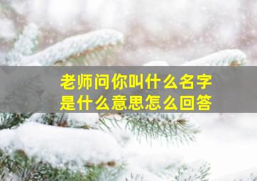 老师问你叫什么名字是什么意思怎么回答