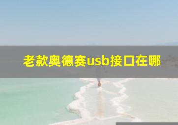 老款奥德赛usb接口在哪