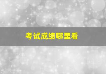 考试成绩哪里看