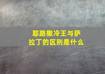 耶路撒冷王与萨拉丁的区别是什么