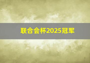 联合会杯2025冠军