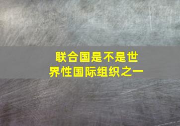 联合国是不是世界性国际组织之一