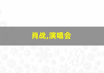 肖战,演唱会