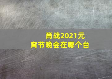 肖战2021元宵节晚会在哪个台