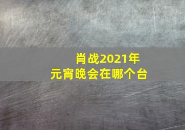 肖战2021年元宵晚会在哪个台