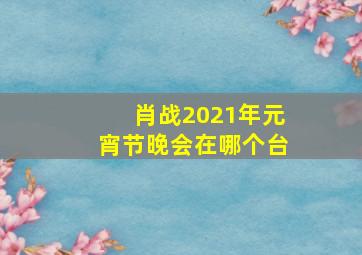 肖战2021年元宵节晚会在哪个台