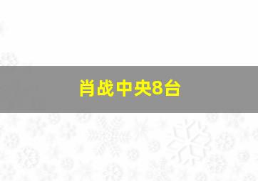 肖战中央8台