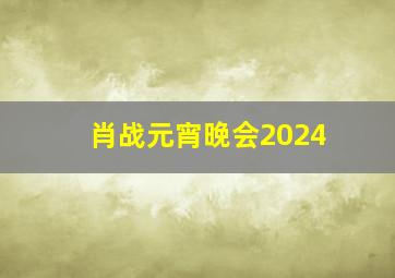 肖战元宵晚会2024