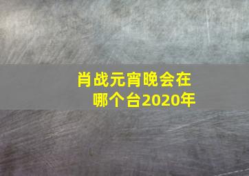 肖战元宵晚会在哪个台2020年