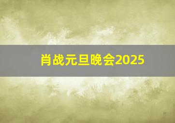 肖战元旦晚会2025