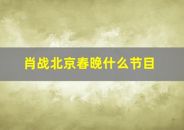 肖战北京春晚什么节目