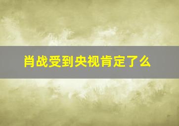 肖战受到央视肯定了么