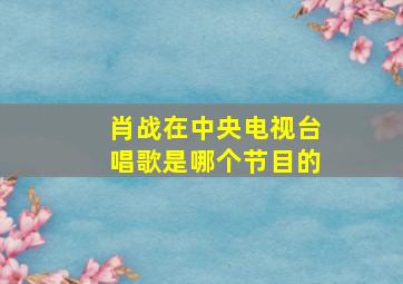 肖战在中央电视台唱歌是哪个节目的