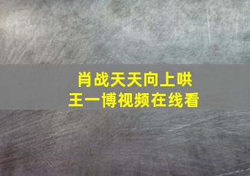 肖战天天向上哄王一博视频在线看