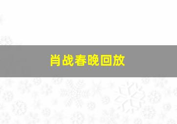 肖战春晚回放