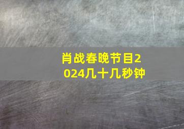 肖战春晚节目2024几十几秒钟