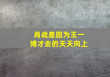 肖战是因为王一博才去的天天向上