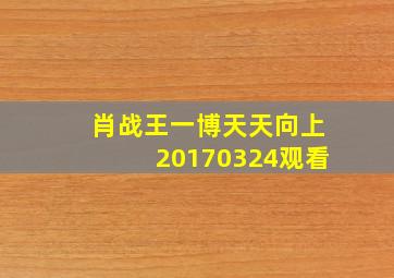 肖战王一博天天向上20170324观看