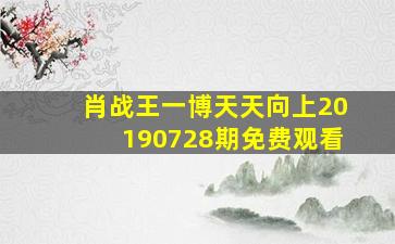 肖战王一博天天向上20190728期免费观看