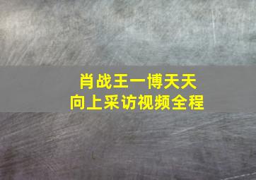 肖战王一博天天向上采访视频全程