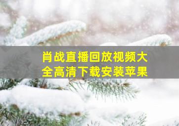 肖战直播回放视频大全高清下载安装苹果