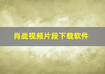 肖战视频片段下载软件