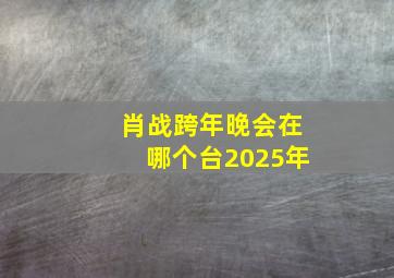 肖战跨年晚会在哪个台2025年