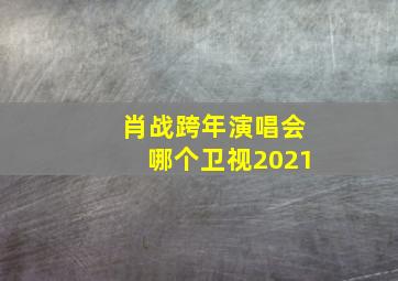 肖战跨年演唱会哪个卫视2021