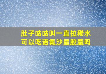 肚子咕咕叫一直拉稀水可以吃诺氟沙星胶囊吗