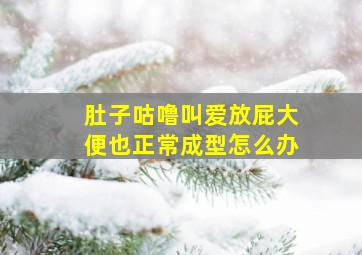 肚子咕噜叫爱放屁大便也正常成型怎么办