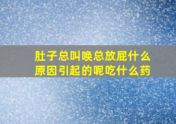 肚子总叫唤总放屁什么原因引起的呢吃什么药