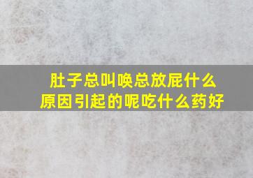 肚子总叫唤总放屁什么原因引起的呢吃什么药好