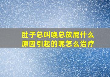 肚子总叫唤总放屁什么原因引起的呢怎么治疗