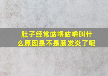 肚子经常咕噜咕噜叫什么原因是不是肠发炎了呢