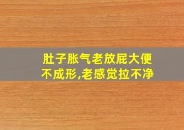 肚子胀气老放屁大便不成形,老感觉拉不净