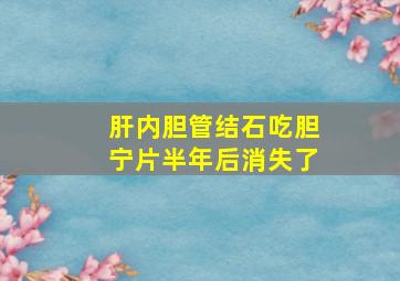 肝内胆管结石吃胆宁片半年后消失了