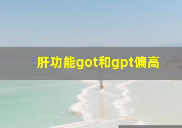 肝功能got和gpt偏高