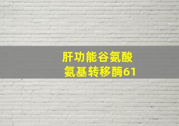 肝功能谷氨酸氨基转移酶61