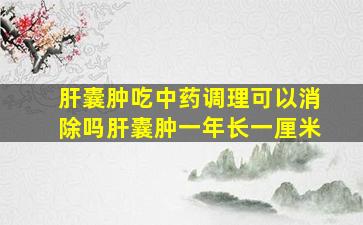 肝囊肿吃中药调理可以消除吗肝囊肿一年长一厘米